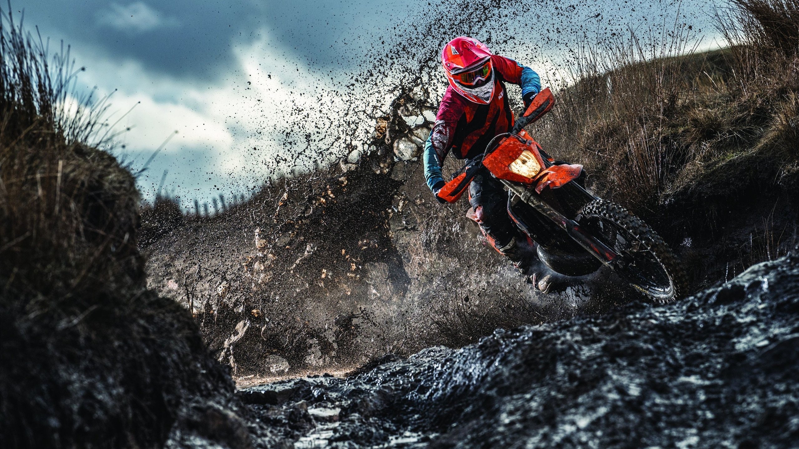 国际赛事上，威尔士队的表现吸引媒体焦点，威尔士队实力